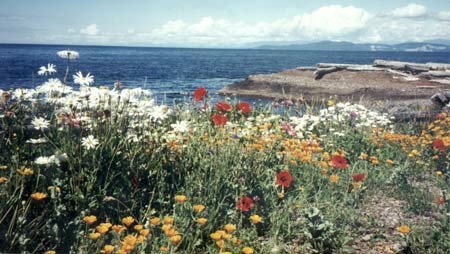 Helliwell Park, Hornby Island